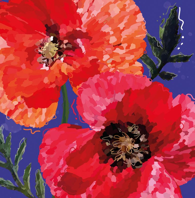 PLAKAT 30x40 cm #0034